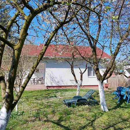 Apartman Dijelovi Бієліна Екстер'єр фото