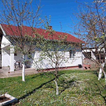Apartman Dijelovi Бієліна Екстер'єр фото