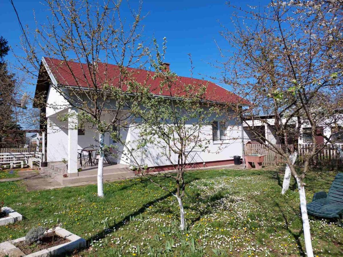 Apartman Dijelovi Бієліна Екстер'єр фото